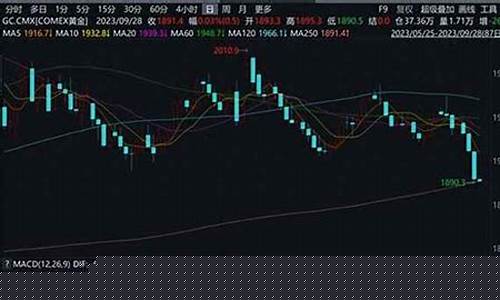 黄金期货价格行情(黄金期货价格行情走势图最新)_http://www.czdghg.com_广期所_第1张