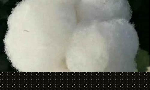 郑棉期货价格(郑棉期货价格行情)_https://www.czdghg.com_广期所_第1张