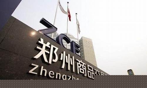 郑州期货交易所交易品种(郑州期货交易所交易品种细则)_http://www.czdghg.com_中金所_第1张
