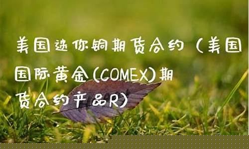 美国迷你期货(美国白银期货)_http://www.czdghg.com_郑商所_第1张
