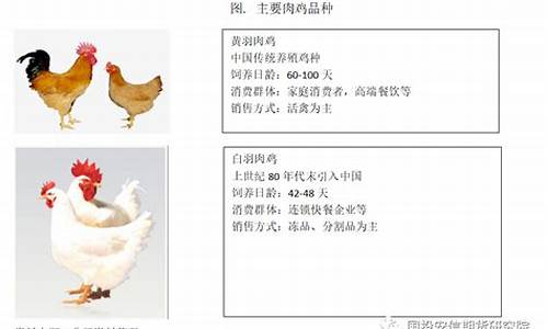 肉鸡期货(肉鸡期货财险)_https://www.czdghg.com_上期所_第1张