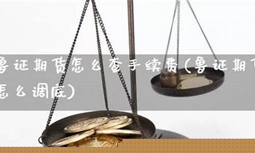 鲁证期货手续费(鲁证期货手续费一览表2020)_https://www.czdghg.com_上期所_第1张