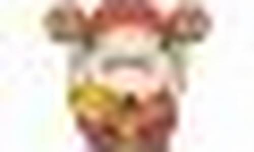 济南期货开户(济南知名期货投资公司)_http://www.czdghg.com_郑商所_第1张