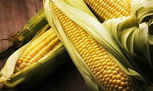 玉米期货一手(玉米期货一手一个点能赚多少钱)_https://www.czdghg.com_郑商所_第1张