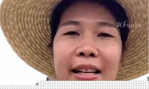 鸡期货走向(期货铜价格走向图)_https://www.czdghg.com_上期所_第1张