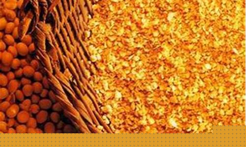 非典豆粕期货(豆粕期货2005)_https://www.czdghg.com_上期所_第1张