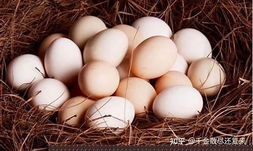 鸡蛋期货手续费怎么算(鸡蛋期货每手)_https://www.czdghg.com_大商所_第1张