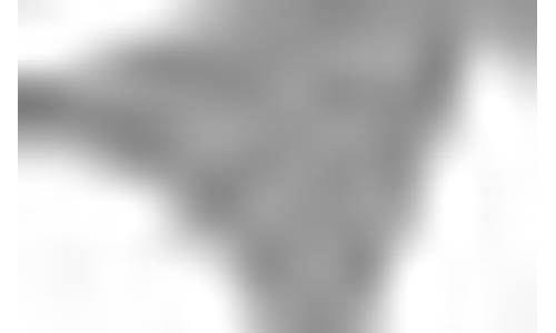 青岛的期货公司(青岛的期货公司招聘信息)_http://www.czdghg.com_上期所_第1张