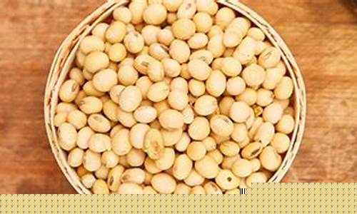 豆一期货合约(豆一2109合约期货实时行情)_http://www.czdghg.com_大商所_第1张