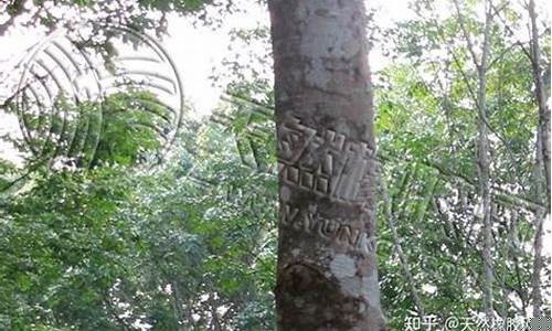 橡胶期货建议(橡胶期货受什么影响)_http://www.czdghg.com_中金所_第1张