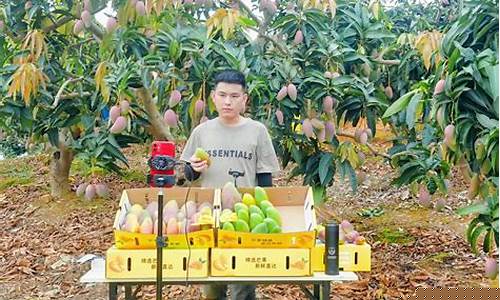 芒果期货直播间(芒果TV直播间)_https://www.czdghg.com_郑商所_第1张