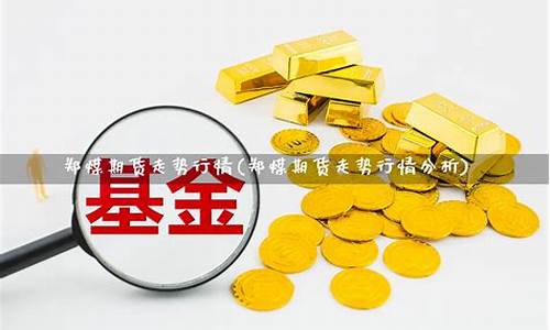 郑煤期货一手(郑煤期货一手要多少钱)_https://www.czdghg.com_上期所_第1张