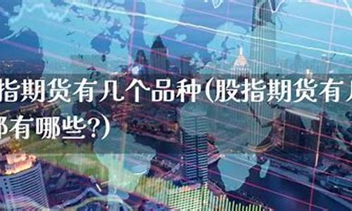 股指期货有哪些品种(股指期货包括)_http://www.czdghg.com_郑商所_第1张