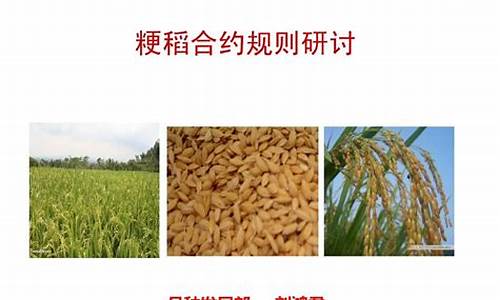 粳稻期货合约_https://www.czdghg.com_上期所_第1张