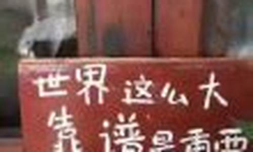 分期货运(货货分期)_https://www.czdghg.com_上期所_第1张