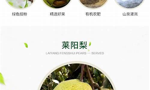 莱阳梨期货_http://www.czdghg.com_郑商所_第1张