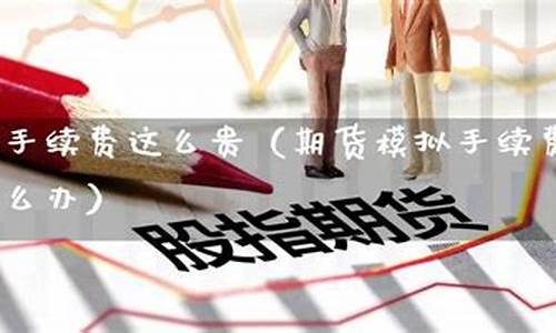 期货手续费怎么这么贵(期货手续费怎么这么贵呀)_https://www.czdghg.com_郑商所_第1张