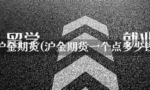 沪金期货一个点多少钱(沪金期货一手波动一次多少钱)_https://www.czdghg.com_上期所_第1张