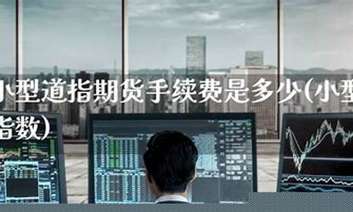 道指期货小型(道指期货期指30)_https://www.czdghg.com_大商所_第1张