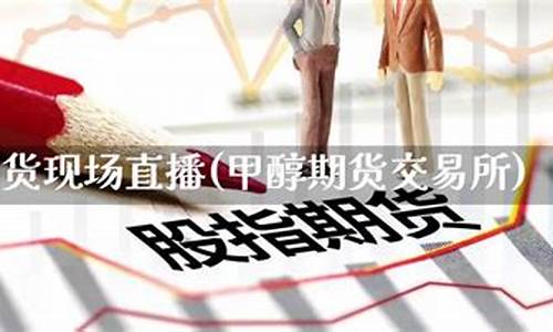甲醇期货怎么开户(甲醇期货价格行情)_http://www.czdghg.com_大商所_第1张