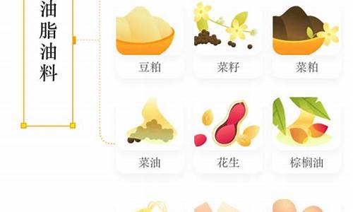 期货 品种(期货品种有多少种)_https://www.czdghg.com_郑商所_第1张