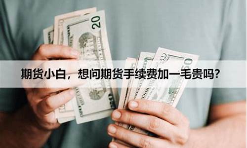 期货加一毛(期货加1分钱手续费是多少)_https://www.czdghg.com_大商所_第1张