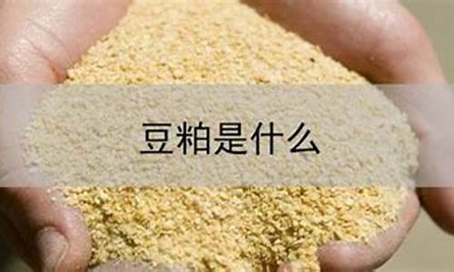 期货豆粕是什么(期货豆粕是什么东西做的)_https://www.czdghg.com_中金所_第1张
