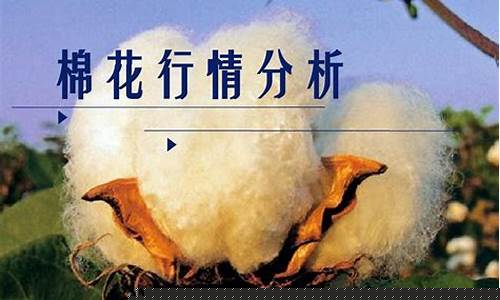 棉花期货基本面(棉花期货基本面分析报告)_https://www.czdghg.com_上期所_第1张