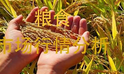粮食期货行情(粮食期货行情走势)_https://www.czdghg.com_广期所_第1张