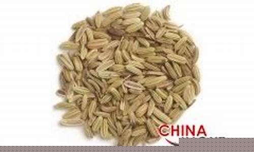 茴香期货(茴香价格今日价格)_http://www.czdghg.com_广期所_第1张