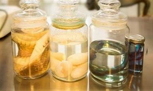 甲醇期货怎么炒(甲醇期货每年涨跌规律)_https://www.czdghg.com_广期所_第1张